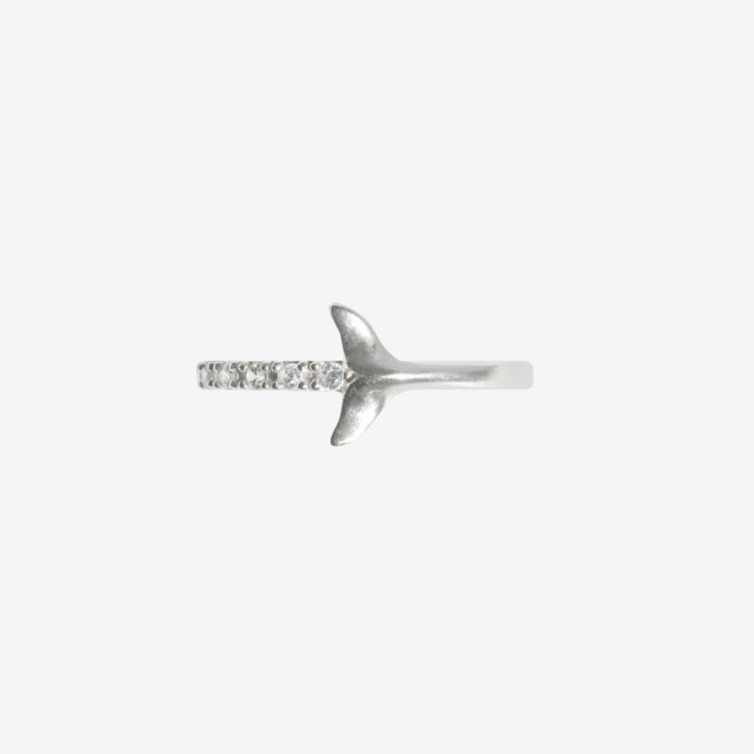carousel-781267