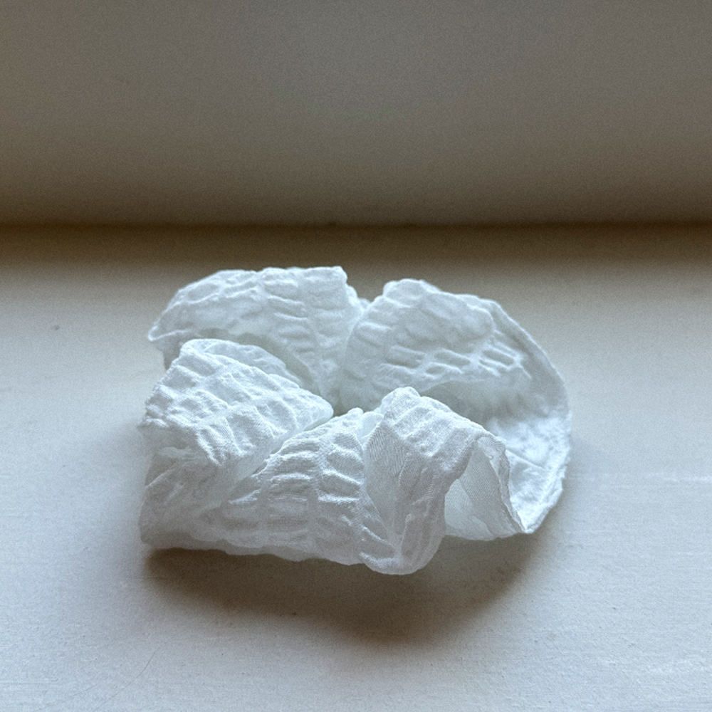 carousel-893401
