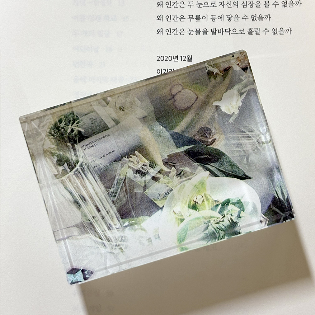 carousel-805758