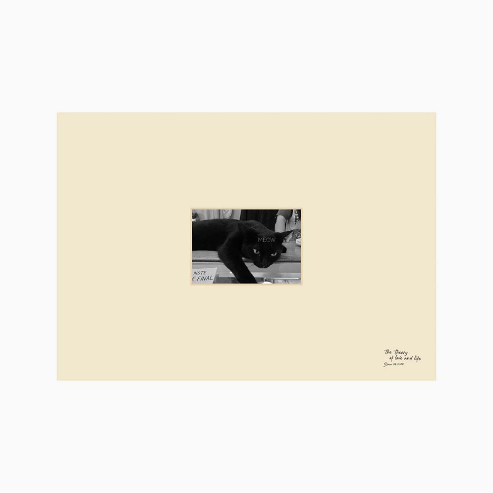carousel-846503
