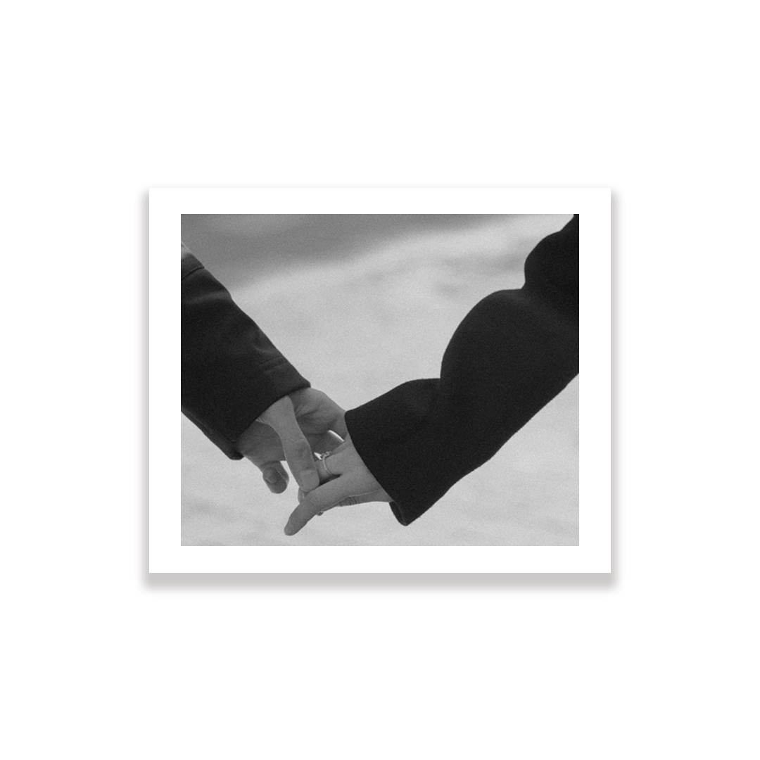 carousel-855330