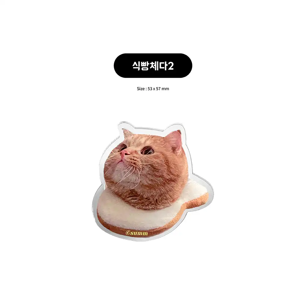 carousel-98528