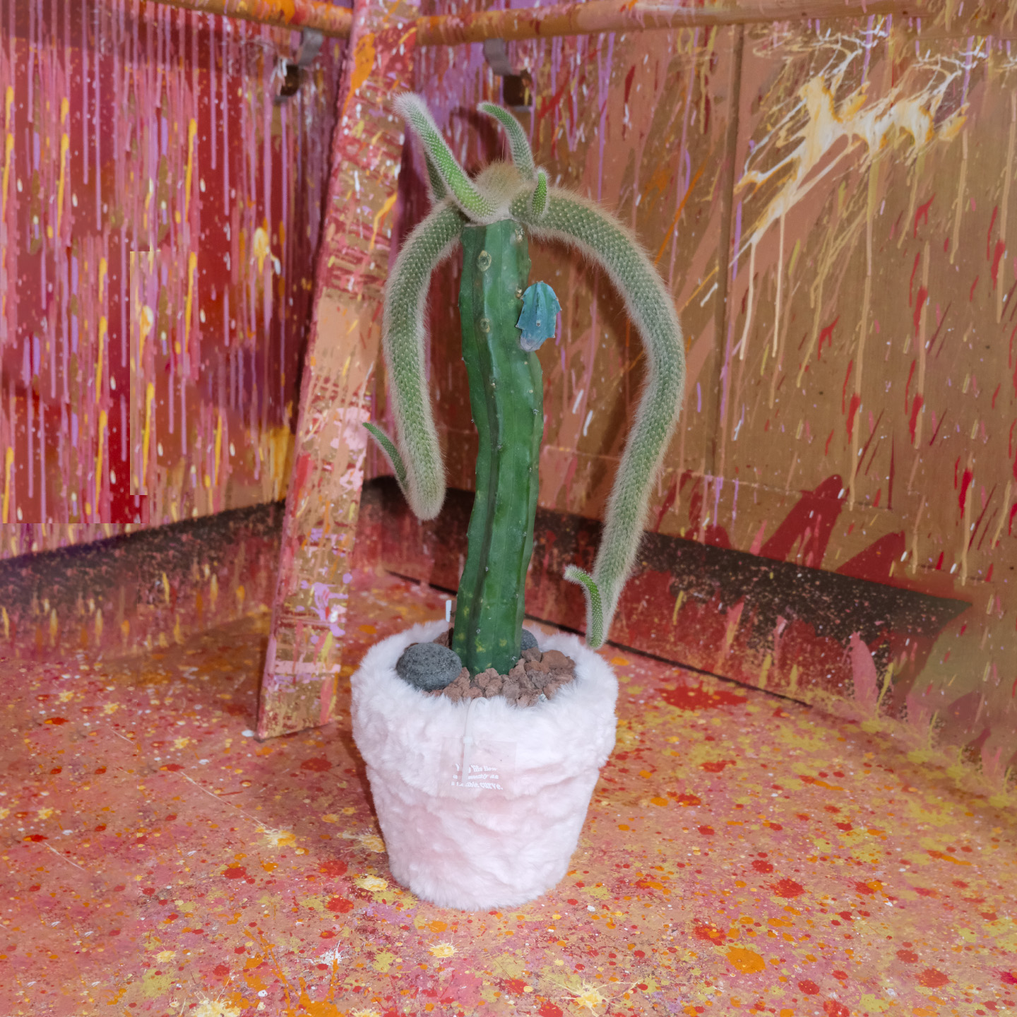 carousel-386193