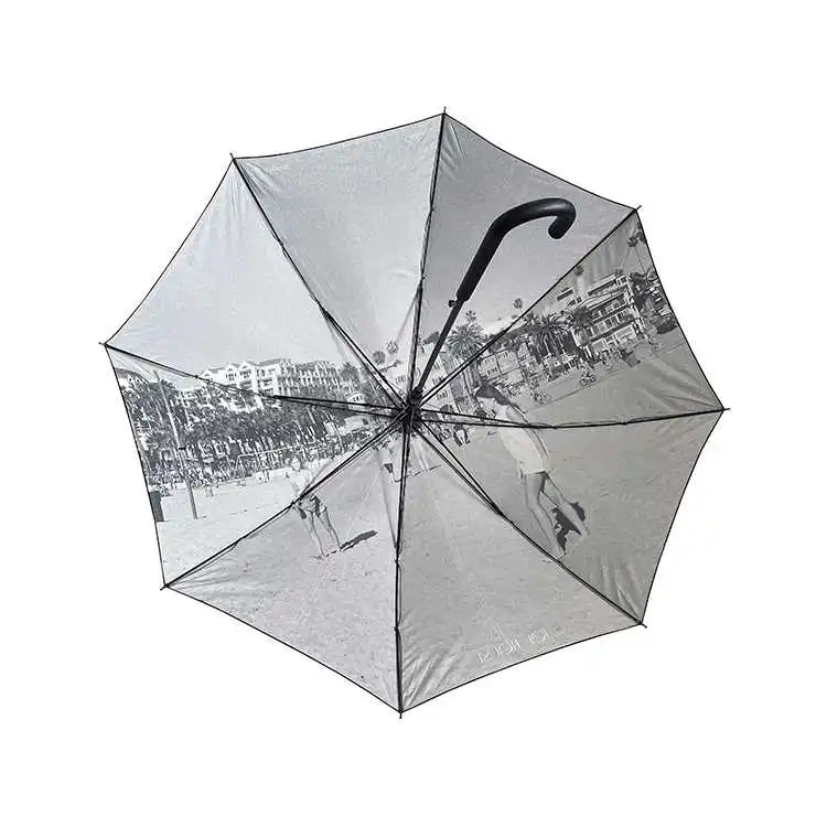 carousel-344064