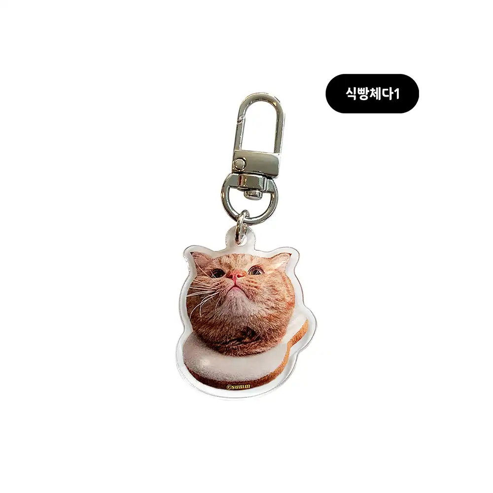 carousel-100809