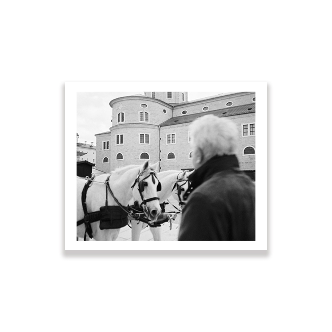 carousel-855328