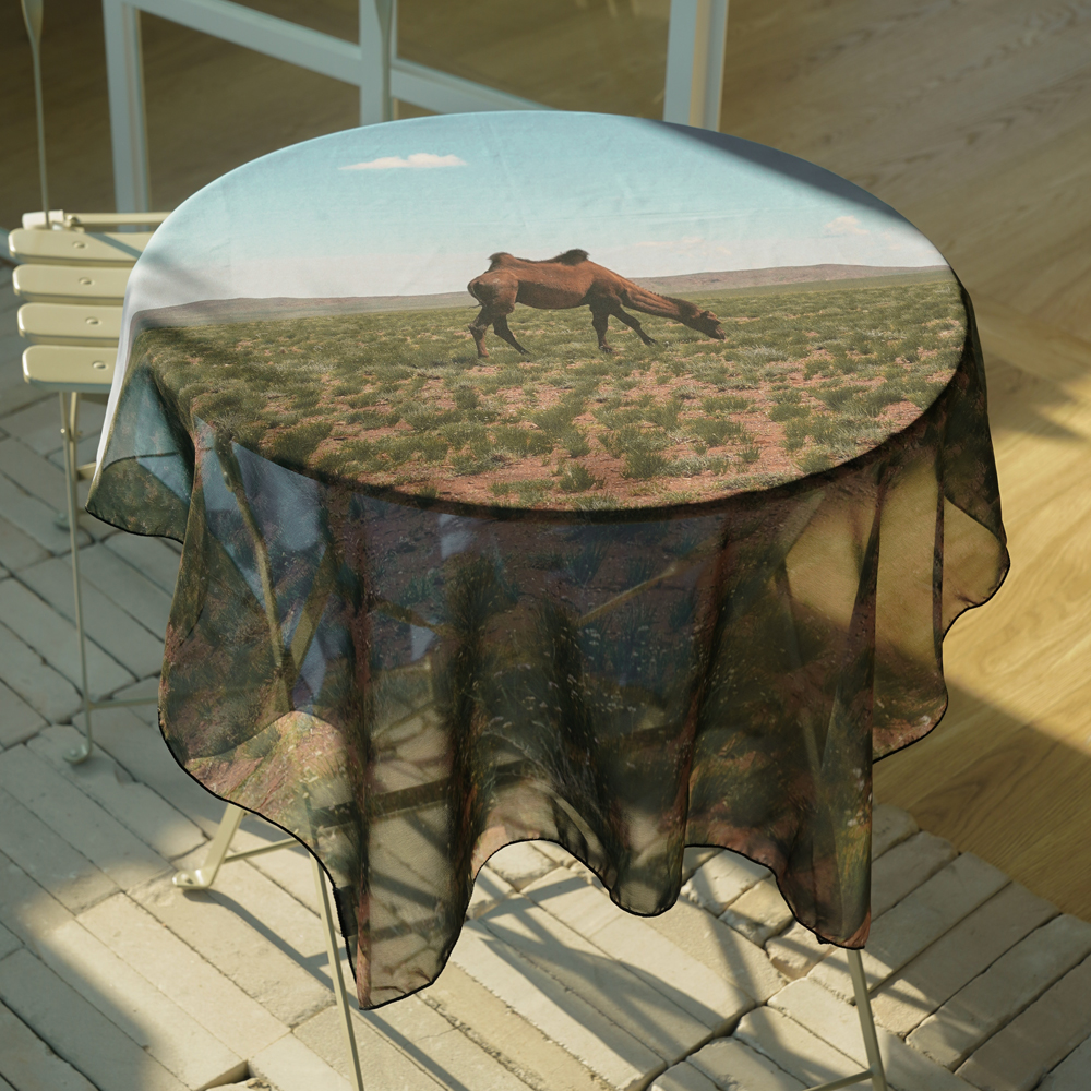 carousel-801762