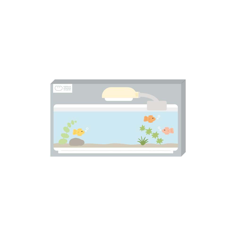 carousel-902985