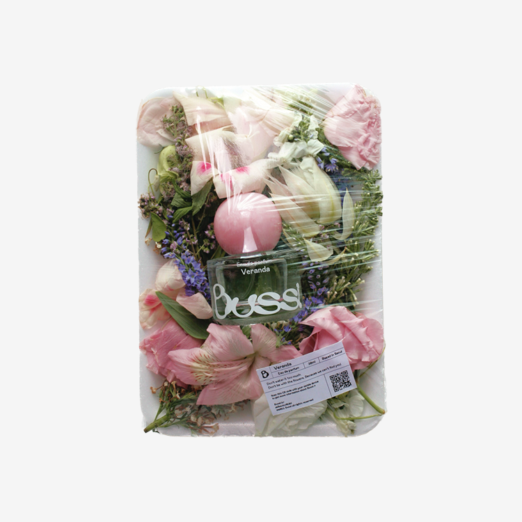 carousel-829127